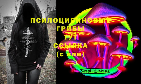 прущие грибы Верхний Тагил
