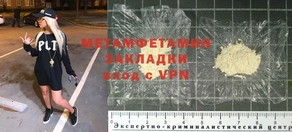 прущие грибы Верхний Тагил