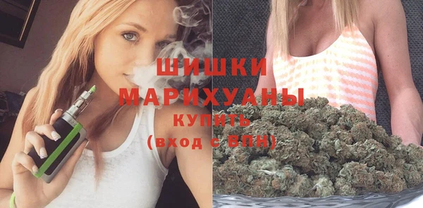 гашик Бородино