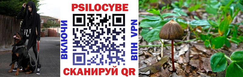 хочу наркоту Высоцк Псилоцибиновые грибы MAGIC MUSHROOMS